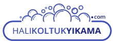 Halı Koltuk Yıkama Logo Colored